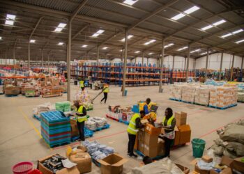 Jumia Raises $99.6 Million Through Share Sale to Support Expansion