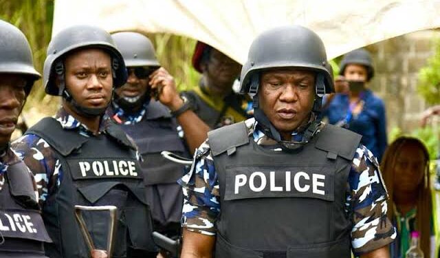 Nigeria Police Condemn Use of Foreign Flags in Protests