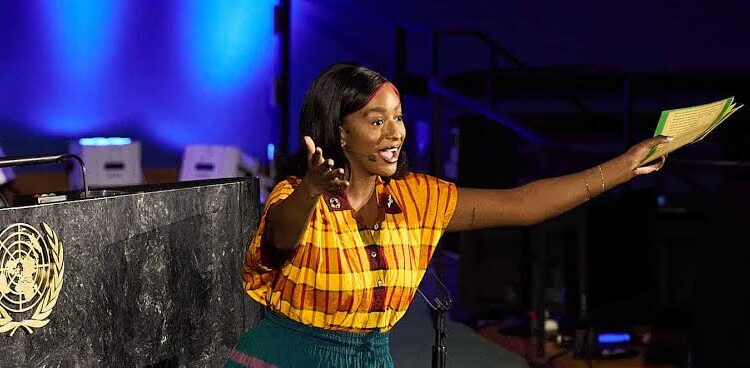 DJ Cuppy Breaks Boundaries as the First Nigerian to Host UN General Assembly Session!