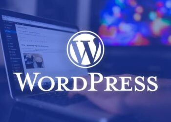 NITDA Issues Urgent Security Warning for Nigerian WordPress Users