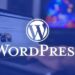 NITDA Issues Urgent Security Warning for Nigerian WordPress Users