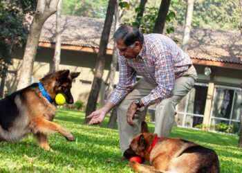 How India’s Most Beloved Billionaire Cared for Strays