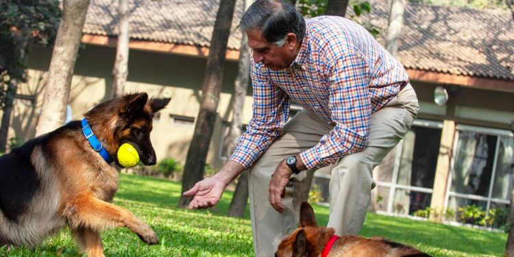 How India’s Most Beloved Billionaire Cared for Strays
