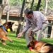 How India’s Most Beloved Billionaire Cared for Strays