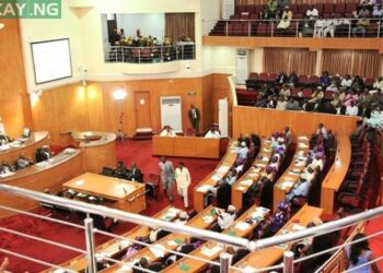 Lagos Lawmaker Pushes for Creation of Ministry of Men Affairs