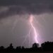Lightning Kills 13 Children and One Adult During Storm