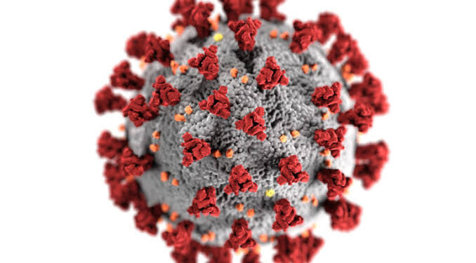 WHO Declares New Coronavirus Outbreak a Worldwide Health Emergency