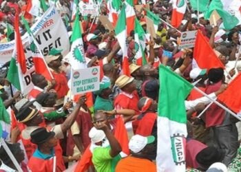 NLC Demands Resignation of Minister of Power Over National Grid Collapses