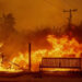 Los Angeles Wildfires Bring Devastation and Hope for Recovery