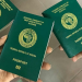 Guide to Use Nigerian Immigration Contactless Passport System
