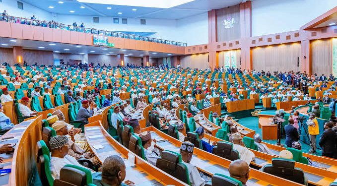 House of Reps Orders NCC to Block All Bluefilm Websites in Nigeria