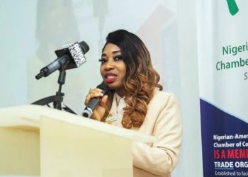 NACC Director: Nigeria’s Tech Sector Cannot Grow Without Stable Power Supply