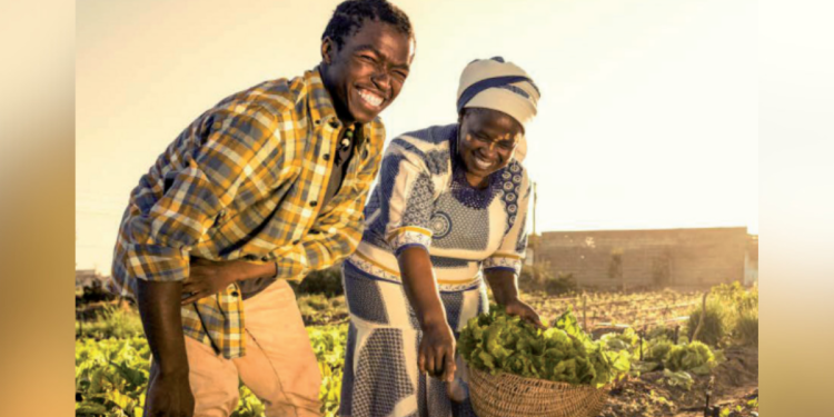 MTN BEE Scheme to Share Payouts in July 2025 After 9 Years