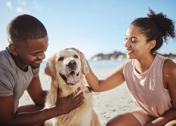 Ladies, Your Dog May Be the Best Bedmate, Science Says So