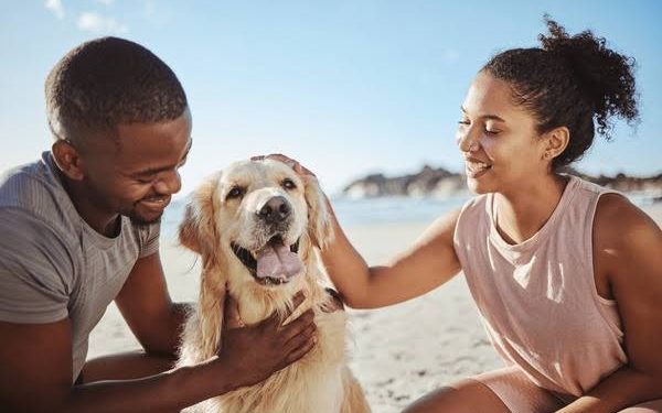 Ladies, Your Dog May Be the Best Bedmate, Science Says So