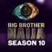 Big Brother Naija Season 10: A Decade of Drama, Strategy, and Unforgettable Housemates