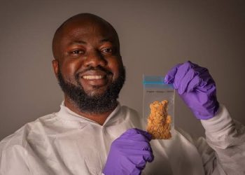 Egusi Seeds Make Historic Trip to Space