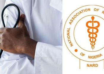 NARD Shuts Down Hospitals Nationwide Over Unpaid Salaries and Welfare Demands