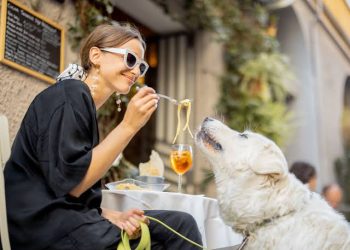 Italy Chooses Pets Over Babies? How a New Lifestyle Trend is Redefining Family