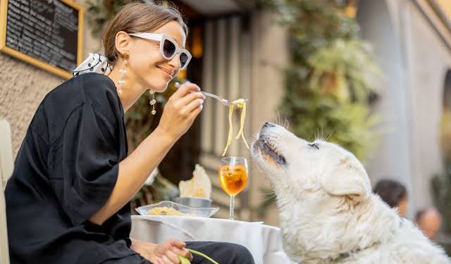 Italy Chooses Pets Over Babies? How a New Lifestyle Trend is Redefining Family