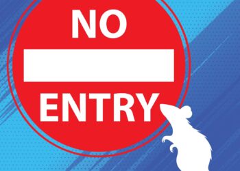 Easy Home Hacks to Beat Lassa Fever Before It Hits Your Family