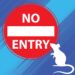 Easy Home Hacks to Beat Lassa Fever Before It Hits Your Family
