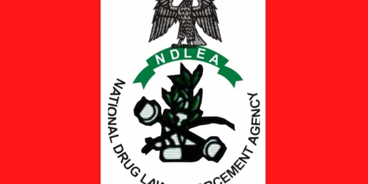 NDLEA displays suspicious sachets seized during ₦5.8bn Lagos drug bust.