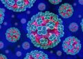 Hantavirus: What You Need to Know Right Now