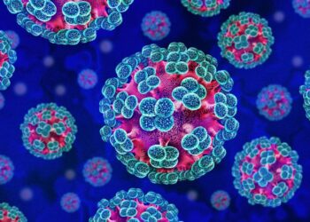 Hantavirus: What You Need to Know Right Now