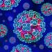 Hantavirus: What You Need to Know Right Now