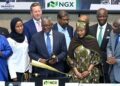 Dangote IPO